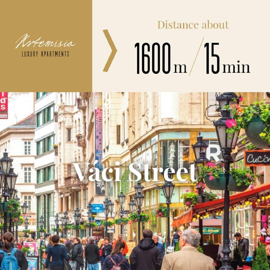 Artemisia Luxury Apartments Skyflat Budapešť Exteriér fotografie