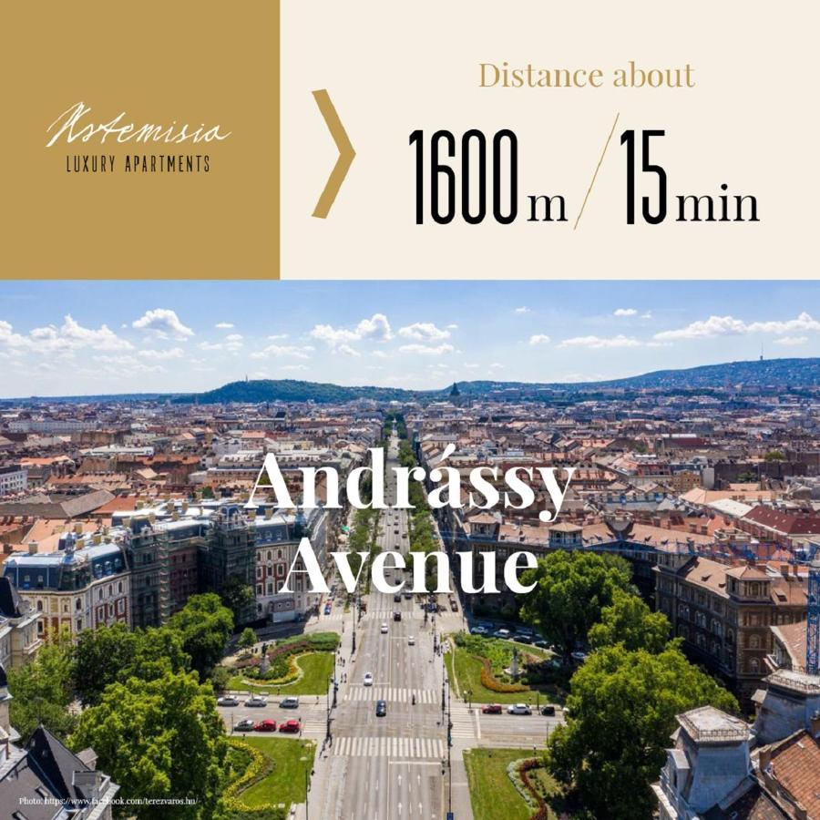 Artemisia Luxury Apartments Skyflat Budapešť Exteriér fotografie