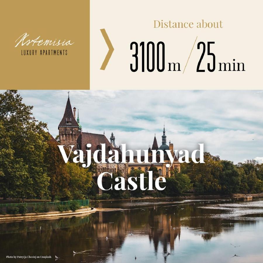 Artemisia Luxury Apartments Skyflat Budapešť Exteriér fotografie
