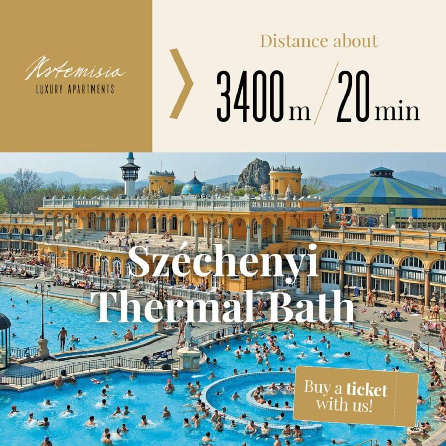 Artemisia Luxury Apartments Skyflat Budapešť Exteriér fotografie