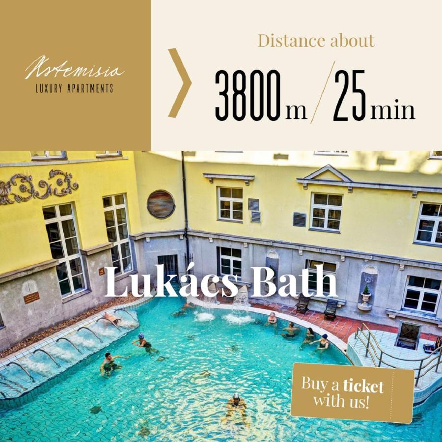 Artemisia Luxury Apartments Skyflat Budapešť Exteriér fotografie